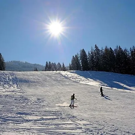 Alpen Zell Am Hotel *