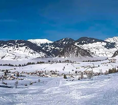 Hotel Alpen Zell Am *