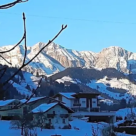 Alpen Zell Am Hotel *