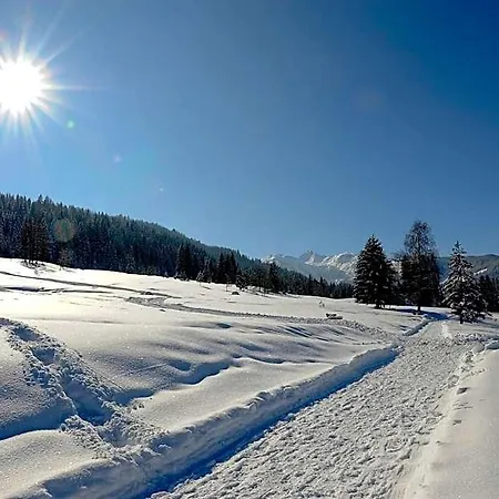 Alpen Zell Am Lend